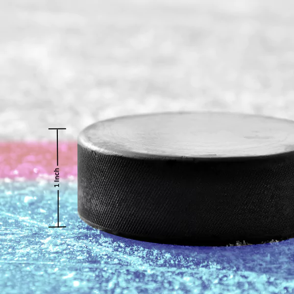 Hockey Puck Hockey Puck