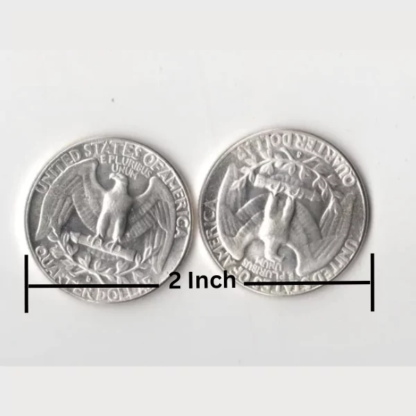 Two U.S. Quarters (Side by Side) Two U.S. Quarters (Side by Side)