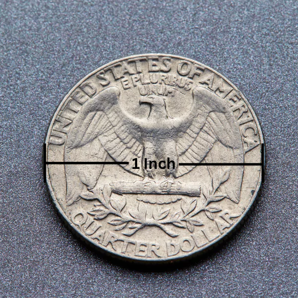 US Quarter Coin US Quarter Coin