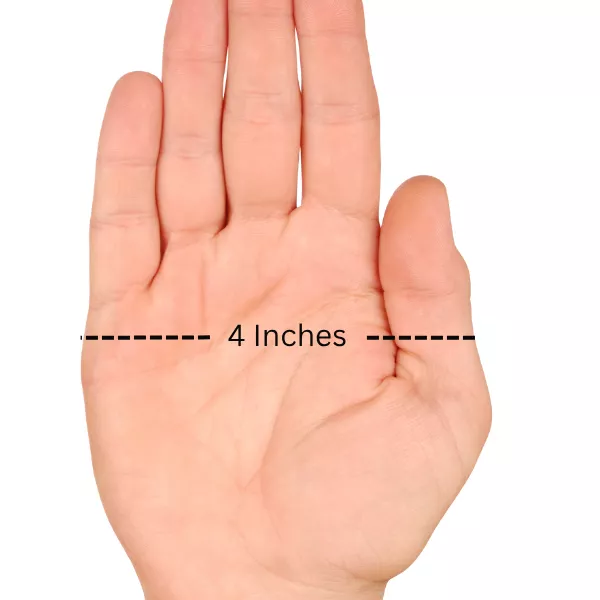 Average Hand Width Average Hand Width